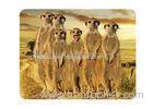 Custom Animal 3D Fridge Magnets PET Lenticular Thickness 0.6mm