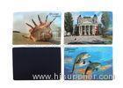 Waterproof 3D Fridge Magnets PP / PET Lenticular Flip Effect Magnet