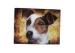 Love Animal Image 3D Fridge Magnets Sticker For Decoration