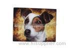 Love Animal Image 3D Fridge Magnets Sticker For Decoration