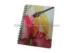 Office PET/PP 3d Lenticular Image Jotter A5/A6 Size 3d Animal Pictures