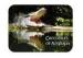Australia Style 3D Lenticular Placemats For Gift CMYK Printing