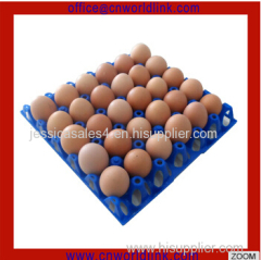 30 Holes Virgin HDPE Plastic Egg tray for Supermarket