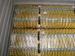Scaffolding Reversible Ladder Safety Devices For Safe Access Protection