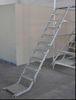 Multi Purpose Scaffolding Steel Step Ladder / Durable Scaffold Access Ladder Tower