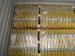 Colored Powder Coated Scaffold Ladder Access Gates For Security Protection