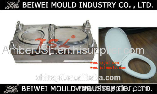 OEM quality toilet seat cover injection mould