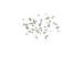 Gold Complete Iphone Screws Replacement For IPhone 6s Plus High Copy