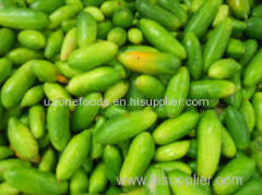 Fresh cucumber For Sale