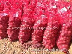 Round Fresh Red Onion at Best Offers