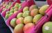 Fresh Sweet Mangoes For Sale