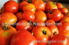 Fresh Tomatoes for sale at Best Offers