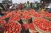 Fresh Tomatoes for sale at Best Offers