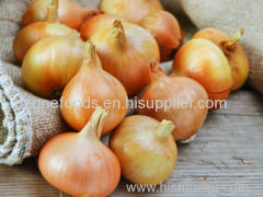 Fresh Yellow Onion for sale