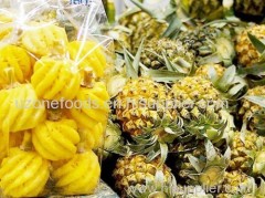 HIGH QUALITY FRESH PINEAPPLE