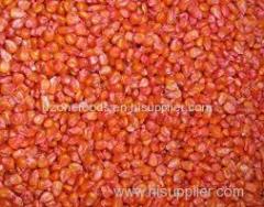 Red Corn (Red Maize) For Sale