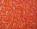 Red Corn (Red Maize) For Sale