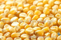 White Corn (white Maize) For Sale