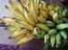 BEST PLANTAIN FOR SALE FROM AFRICA