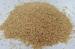 Soybean Meal For Sale