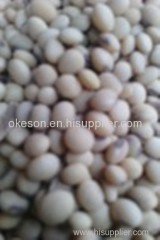 soybean oil seed for your oil