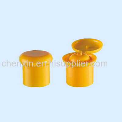 Flip top lids for bottle