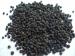 Black pepper for Sale