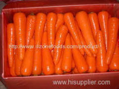 Fresh Carrots For Sale