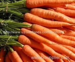 Fresh Carrots For Sale