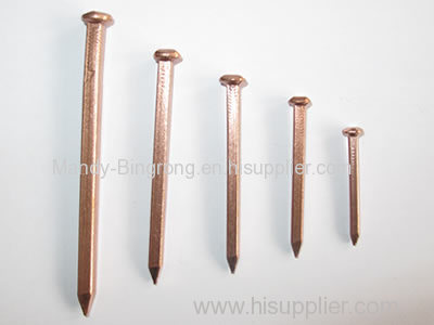 galvanized square boat nails/copper square boat nails/stainless steel square boat nails