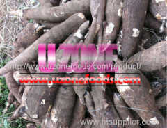 Grade AA Quality Tapioca (Cassava)