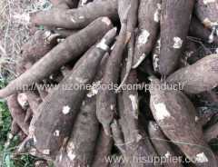 Grade AA Quality Tapioca (Cassava)