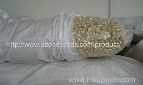 Bulk and Wholesale Peanuts