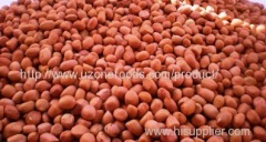 Bulk and Wholesale Peanuts