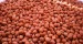 Bulk and Wholesale Peanuts