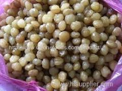 Ricinodendron Heudelottii (Njansang) For Sale in Bulk and Wholesale