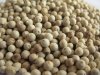 White Pepper for Sale in Bulk and Wholesale