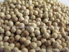 White Pepper for Sale in Bulk and Wholesale