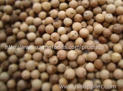 White Pepper for Sale in Bulk and Wholesale