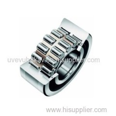 Double Row Cylindrical Roller Bearings