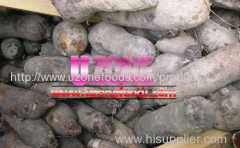 Yams For Sale in Bulk and Wholesale