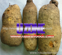 Yams For Sale in Bulk and Wholesale