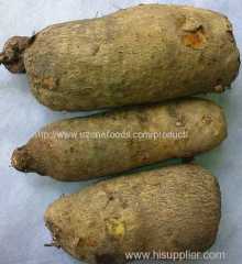 Yams For Sale in Bulk and Wholesale