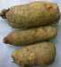 Yams For Sale in Bulk and Wholesale