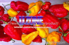 Fresh Chili Peppers For Sale