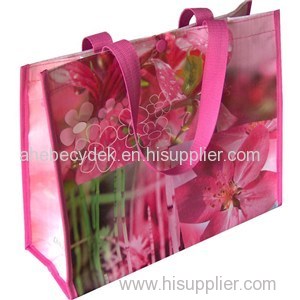 PP Woven Laminated Bag