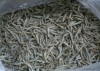 Dried Anchovy Fish/ Dried Fish