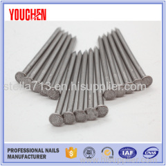 China factory outlet common wire nails