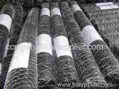 PVC hexagonal wire mesh