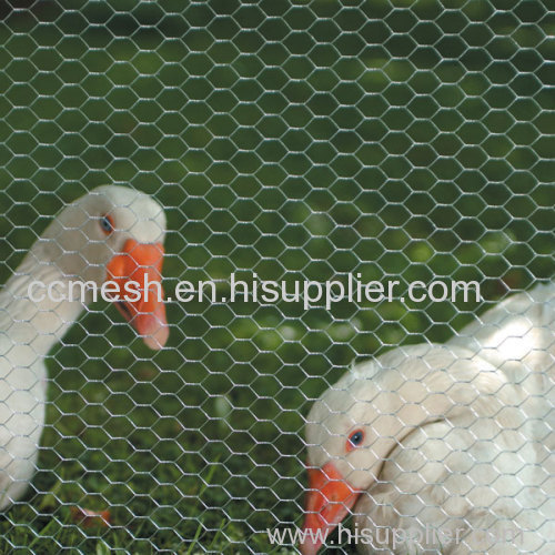 chicken poultry farms fence